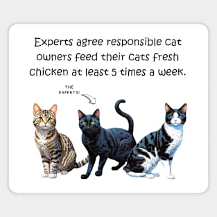 Experts agree responsible cat owners feed their cats fresh chicken at least 5 times a week - funny watercolour cat design Magnet